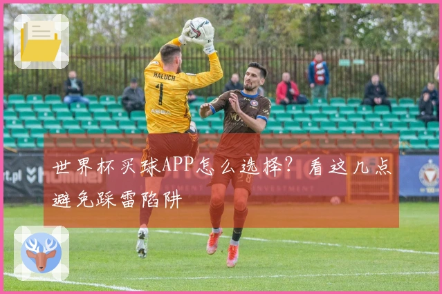世界杯买球APP怎么选择？看这几点避免踩雷陷阱