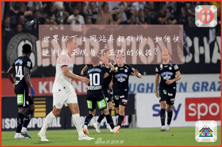 世界杯下注网站真假难辨，如何快速判断正规与不正规的依据？