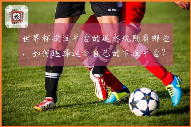 世界杯投注平台的返水规则有哪些，如何选择适合自己的下注平台？