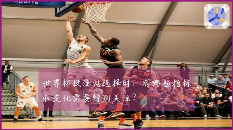世界杯投注站选择时，有哪些指标和变化需要特别关注？