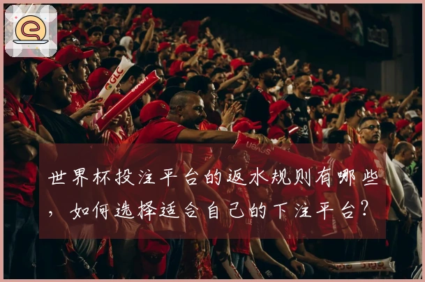 世界杯投注平台的返水规则有哪些，如何选择适合自己的下注平台？