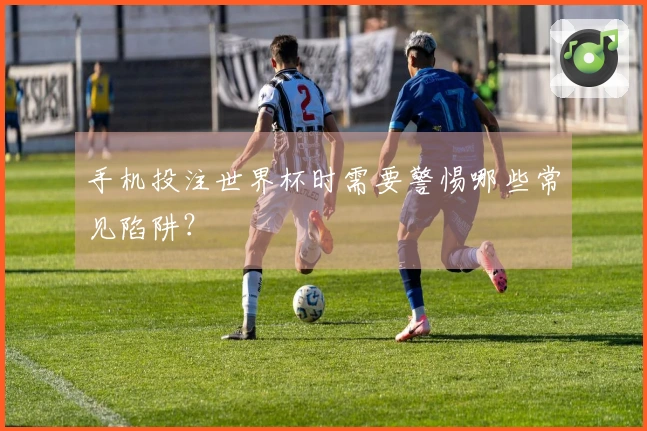 手机投注世界杯时需要警惕哪些常见陷阱？