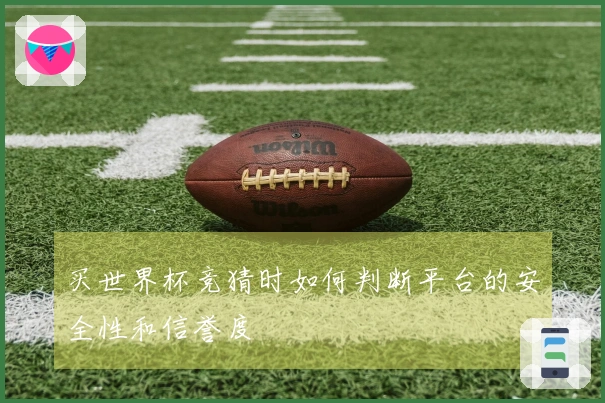 买世界杯竞猜时如何判断平台的安全性和信誉度