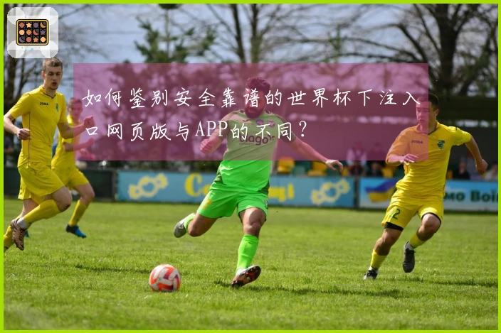如何鉴别安全靠谱的世界杯下注入口网页版与APP的不同？