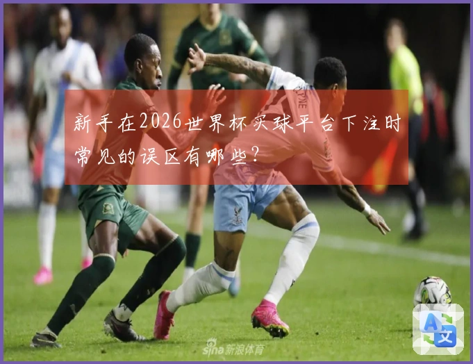 新手在2026世界杯买球平台下注时常见的误区有哪些？