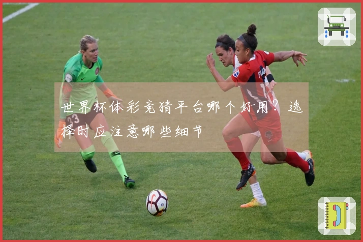 世界杯体彩竞猜平台哪个好用？选择时应注意哪些细节