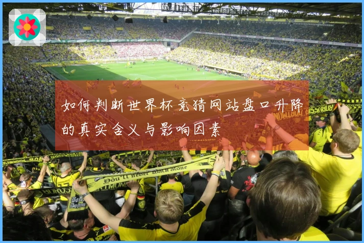 如何判断世界杯竞猜网站盘口升降的真实含义与影响因素