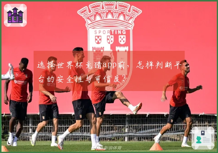 选择世界杯竞猜app前，怎样判断平台的安全性与可信度？