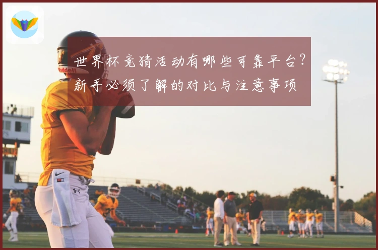 世界杯竞猜活动有哪些可靠平台？新手必须了解的对比与注意事项