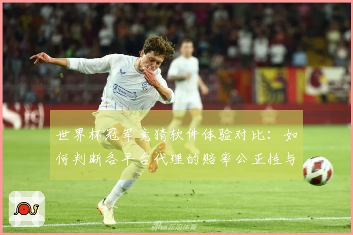 世界杯冠军竞猜软件体验对比：如何判断各平台代理的赔率公正性与安全性
