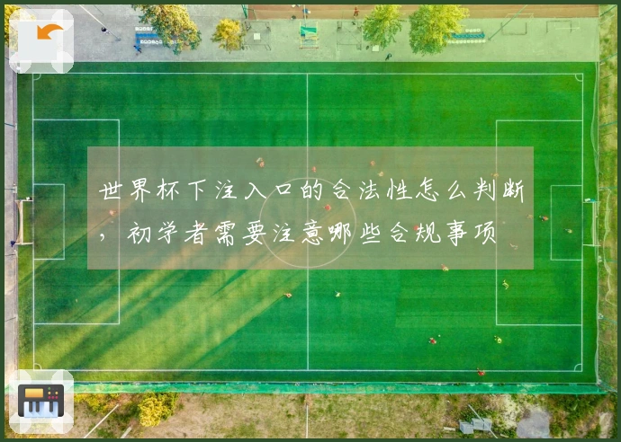 世界杯下注入口的合法性怎么判断，初学者需要注意哪些合规事项
