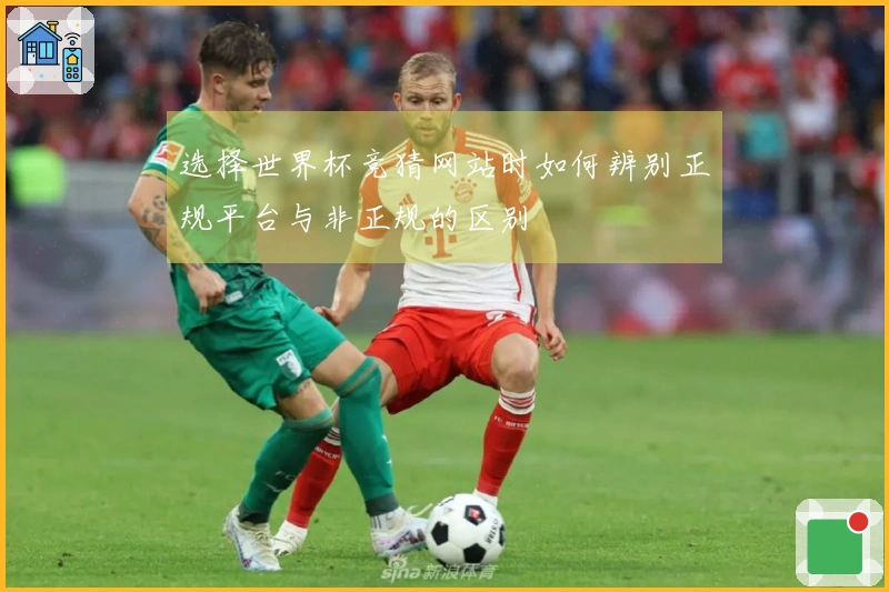 选择世界杯竞猜网站时如何辨别正规平台与非正规的区别