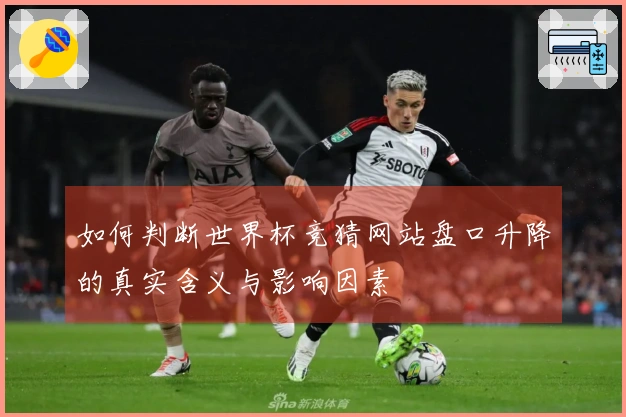 如何判断世界杯竞猜网站盘口升降的真实含义与影响因素