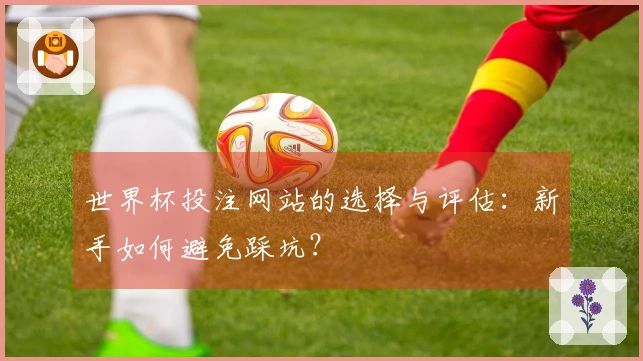 世界杯投注网站的选择与评估：新手如何避免踩坑？