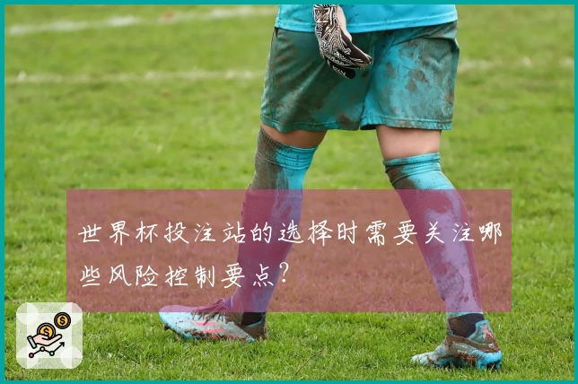 世界杯投注站的选择时需要关注哪些风险控制要点？