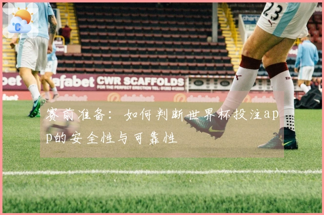赛前准备：如何判断世界杯投注app的安全性与可靠性