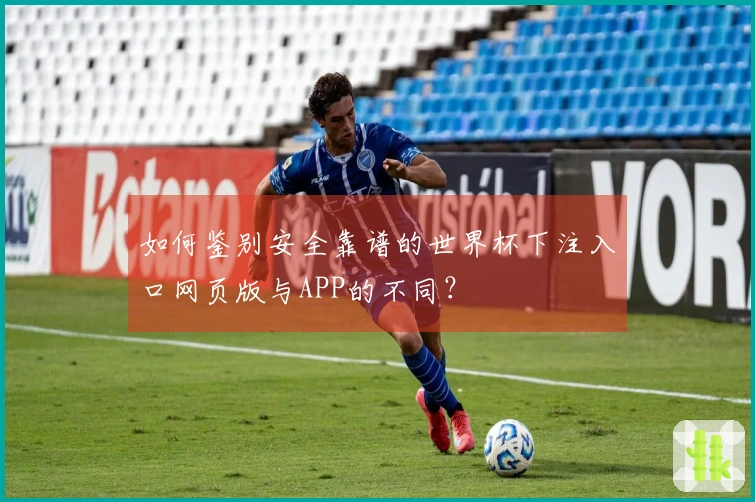 如何鉴别安全靠谱的世界杯下注入口网页版与APP的不同？